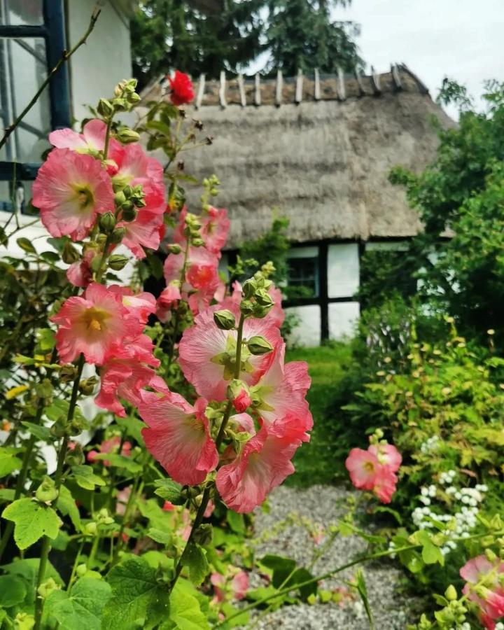 Plantepressen B&B 福堡 外观 照片
